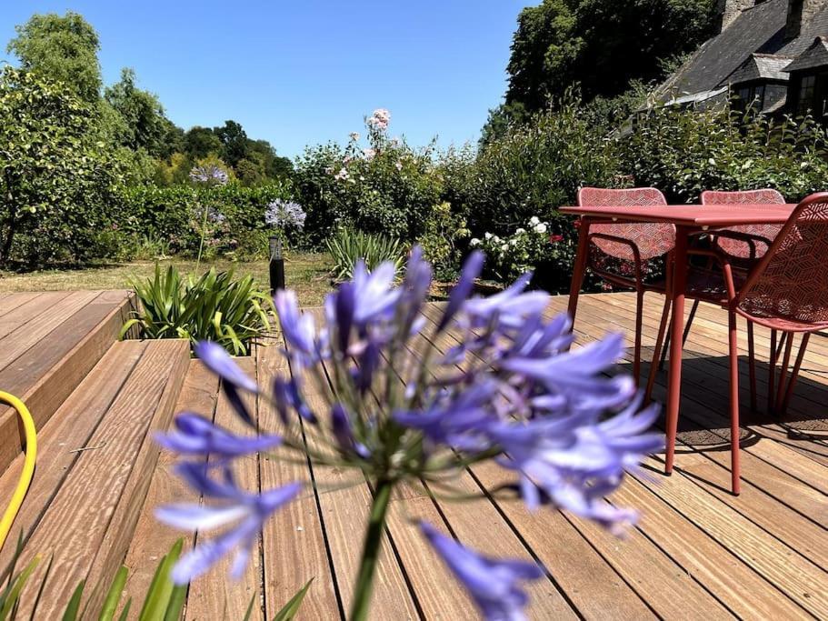 Apartment Superbe Avec Jardin Centre - Jerzual *